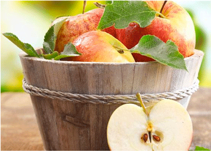 Basket of apples