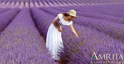 Amrita Aromatherapy