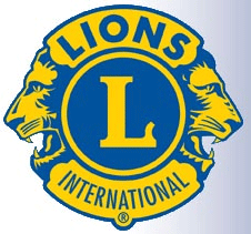 Image Lions Logo